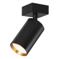 Immax NEO 07260W - LED RGB+CCT Dimbare Spot NEO LITE PUNTO 1xGU10/6W/230V Wi-Fi Tuya