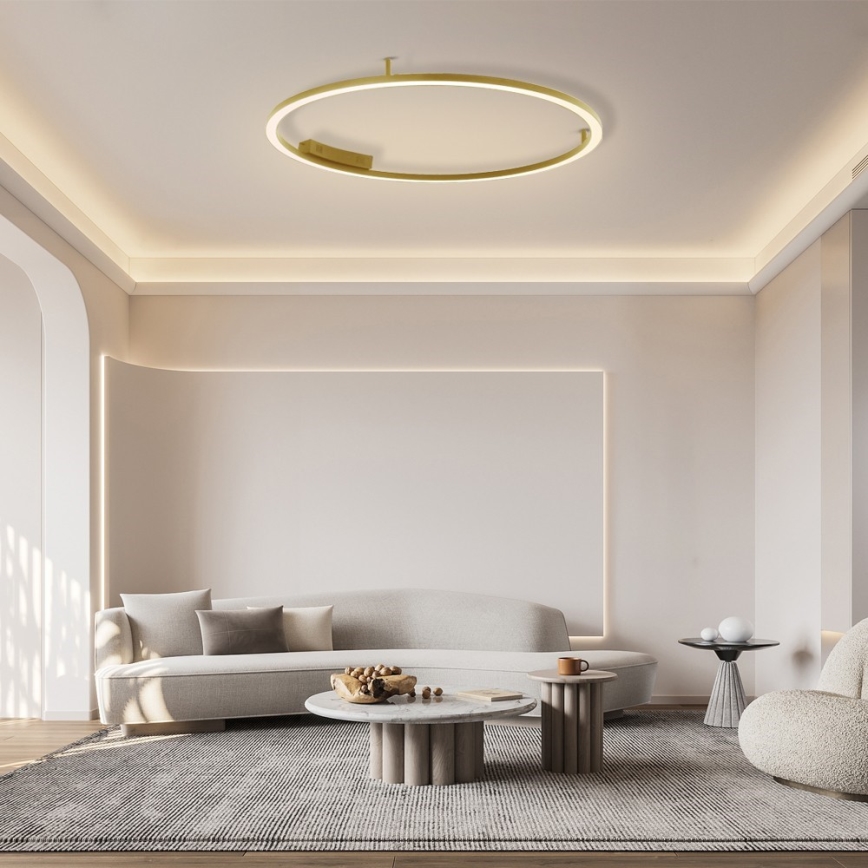 Immax NEO 07290-120G - LED+CCT Dimbare plafondlamp FINO LED/55W/230V 2700–6500K Tuya Ø 120 cm + afstandsbediening