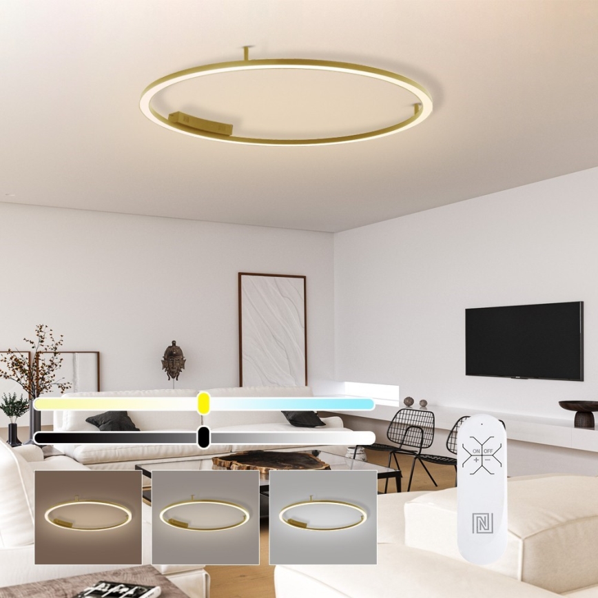 Immax NEO 07290-120G - LED+CCT Dimbare plafondlamp FINO LED/55W/230V 2700–6500K Tuya Ø 120 cm + afstandsbediening