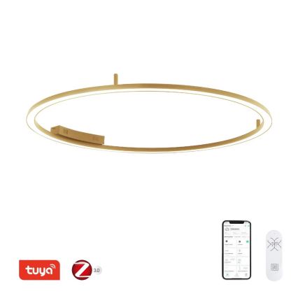 Immax NEO 07290-120G - LED+CCT Dimbare plafondlamp FINO LED/55W/230V 2700–6500K Tuya Ø 120 cm + afstandsbediening