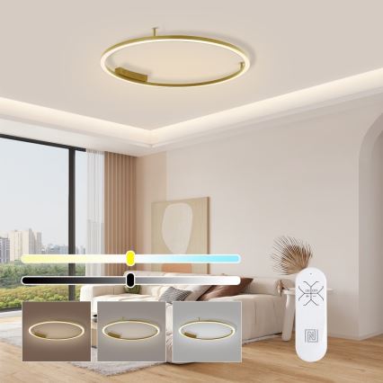 Immax NEO 07291-80G - LED+CCT dimbare plafondlamp FINO LED/55W/230V 2700-6500K Tuya Ø 80 cm + afstandsbediening