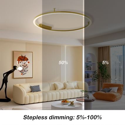 Immax NEO 07291-80G - LED+CCT dimbare plafondlamp FINO LED/55W/230V 2700-6500K Tuya Ø 80 cm + afstandsbediening