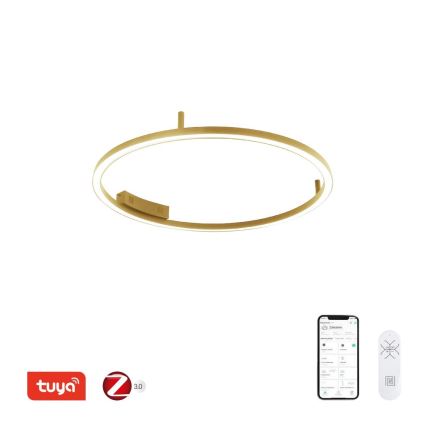 Immax NEO 07291-80G - LED+CCT dimbare plafondlamp FINO LED/55W/230V 2700-6500K Tuya Ø 80 cm + afstandsbediening