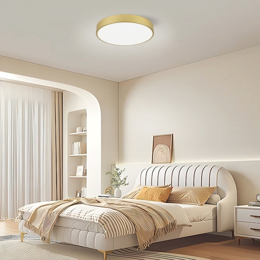 Immax NEO 07292L - LED+CCT Dimbare plafondlamp SEMPLICI LED/36W/230V 2700-6500K Ø 40 cm + afstandsbediening