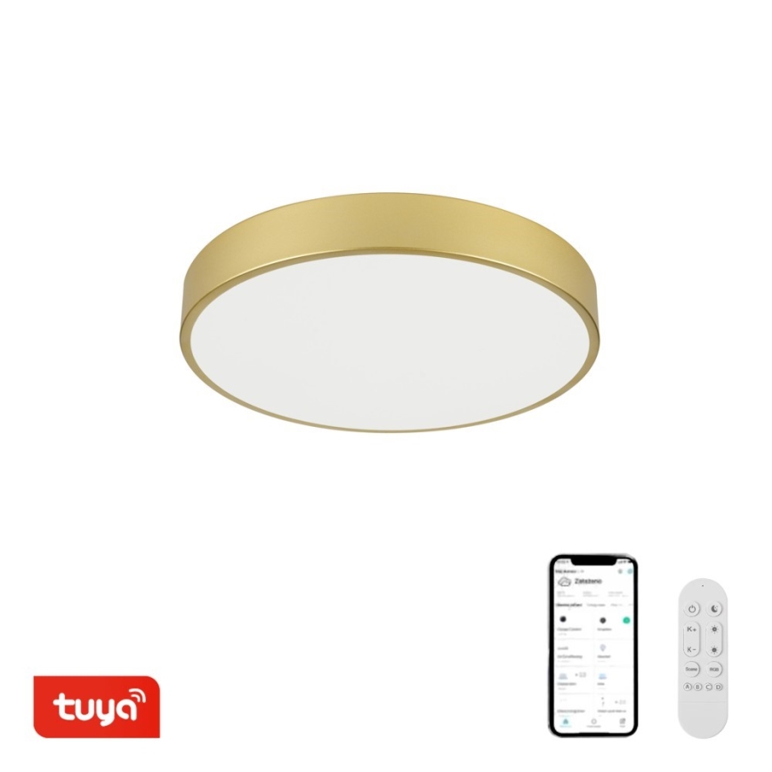 Immax NEO 07292L - LED+CCT Dimbare plafondlamp SEMPLICI LED/36W/230V 2700-6500K Ø 40 cm + afstandsbediening