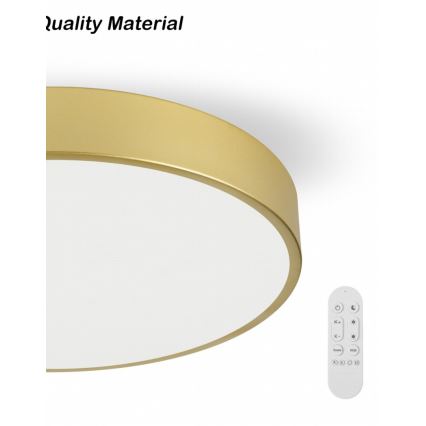 Immax NEO 07292L - LED+CCT Dimbare plafondlamp SEMPLICI LED/36W/230V 2700-6500K Ø 40 cm + afstandsbediening