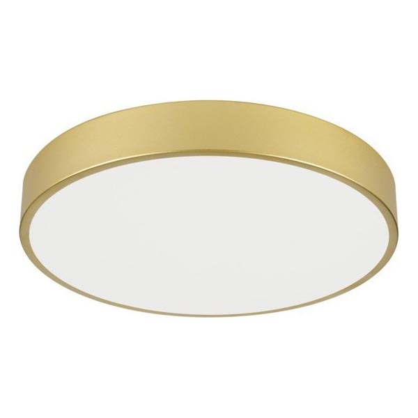Immax NEO 07292L - LED+CCT Dimbare plafondlamp SEMPLICI LED/36W/230V 2700-6500K Ø 40 cm + afstandsbediening