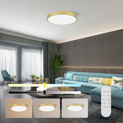 Immax NEO 07293L - LED+CCT Dimbare plafondlamp SEMPLICI LED/60W/230V 2700-6500K Ø 60 cm + afstandsbediening