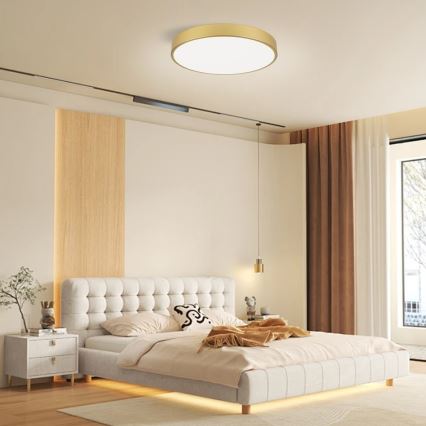Immax NEO 07293L - LED+CCT Dimbare plafondlamp SEMPLICI LED/60W/230V 2700-6500K Ø 60 cm + afstandsbediening