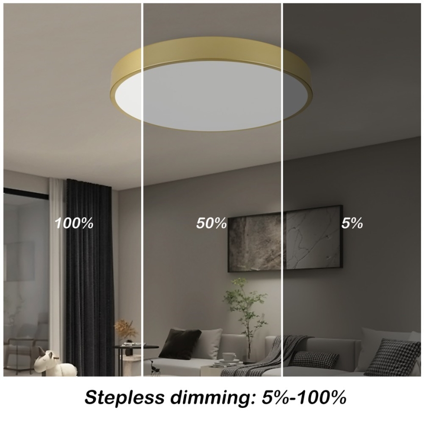 Immax NEO 07293L - LED+CCT Dimbare plafondlamp SEMPLICI LED/60W/230V 2700-6500K Ø 60 cm + afstandsbediening