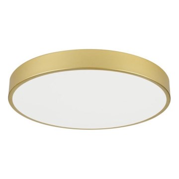 Immax NEO 07293L - LED+CCT Dimbare plafondlamp SEMPLICI LED/60W/230V 2700-6500K Ø 60 cm + afstandsbediening