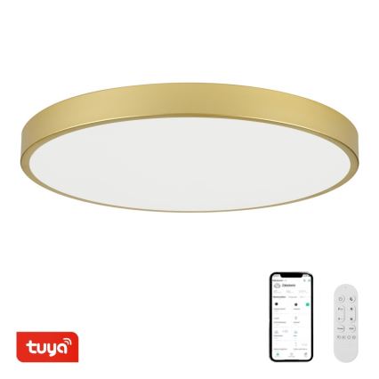 Immax NEO 07312L - dimbare LED plafondlamp SEMPLICI LED/128W/230V Ø 100 cm, Wi-Fi (Tuya), goudkleurig + afstandsbediening