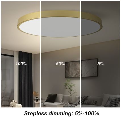 Immax NEO 07312L - dimbare LED plafondlamp SEMPLICI LED/128W/230V Ø 100 cm, Wi-Fi (Tuya), goudkleurig + afstandsbediening