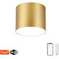 Immax NEO 07317L - LED-dimbare plafondlamp RONDATE LED/18W/230V Ø 11,5 cm Wi-Fi Tuya goudkleurig