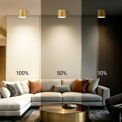 Immax NEO 07318L - Dimbare LED-plafondlamp RONDATE LED/32W/230V Ø 16,5 cm Wi-Fi Tuya goud