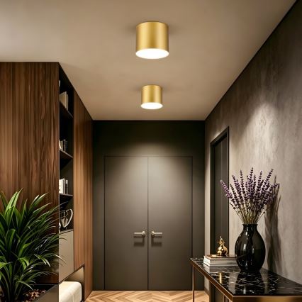 Immax NEO 07318L - Dimbare LED-plafondlamp RONDATE LED/32W/230V Ø 16,5 cm Wi-Fi Tuya goud