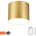 Immax NEO 07318L - Dimbare LED-plafondlamp RONDATE LED/32W/230V Ø 16,5 cm Wi-Fi Tuya goud