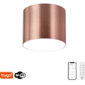 Immax NEO 07319L - Dimbare LED-plafondlamp RONDATE LED/18W/230V Ø 11,5 cm Wi-Fi Tuya roségoud