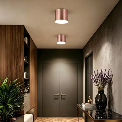 Immax NEO 07320L - Dimbare LED-plafondlamp RONDATE LED/32W/230V Ø 16,5 cm Wi-Fi Tuya roségoud