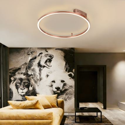 Immax NEO 07326-80C - LED dimbare plafondlamp FINO LED/55W/230V 80 cm Tuya roségoud + afstandsbediening