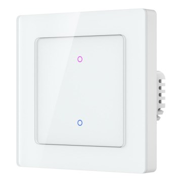 Immax NEO 07539L - SMART 2-knops schakelaar 230 V Wi-Fi Tuya