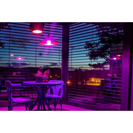 Immax NEO 07712L - LED RGB+CCT Dimbare lamp NEO LITE Smart E27/9W/230V Wi-Fi Tuya 2200 - 6500K