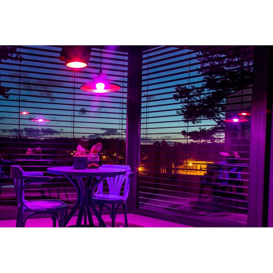 Immax NEO 07712L - LED RGB+CCT Dimbare lamp NEO LITE Smart E27/9W/230V Wi-Fi Tuya 2200 - 6500K