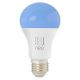 Immax NEO 07733C - SET 3x LED RGB+CCT Dimbare lamp NEO LITE E27/11W/230V 2700 - 6500K Wi-Fi Tuya