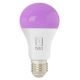 Immax NEO 07743L - Dimbare LED RGB+CCT Lamp E27/11W/230V 2700-6500K Tuya