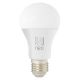 Immax NEO 07743L - Dimbare LED RGB+CCT Lamp E27/11W/230V 2700-6500K Tuya