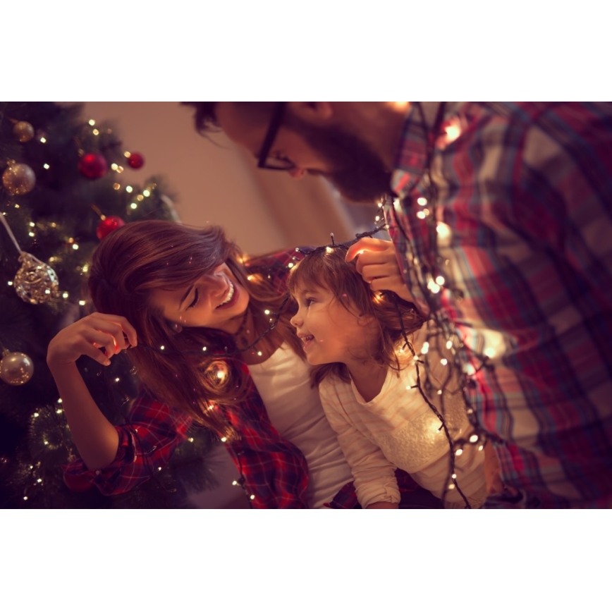 Immax NEO 07756L - LED dimbare buitenlichtsnoer NEO LITE 400xLED/10 functies, 43 m, IP44, Wi‑Fi Tuya, meerkleurig