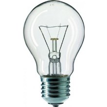 Industrie Lamp CLEAR E27/100W/240V
