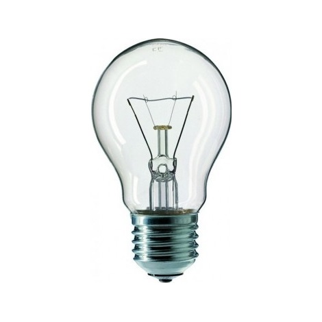 Industrie Lamp CLEAR E27/100W/240V