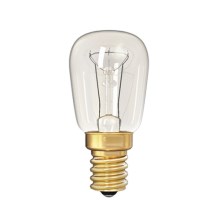 Industrie Lamp E14/25W/24V