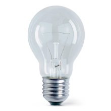 Industrie Lamp E27/60W/230V