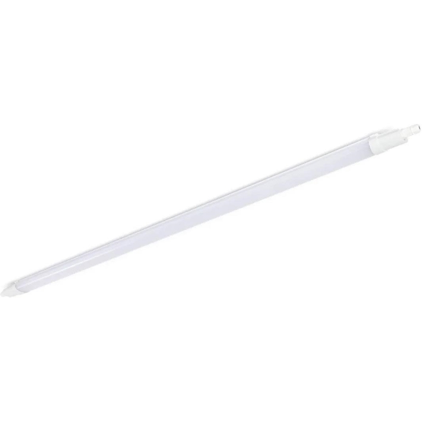 Industrie TL-Buis LED/48W/230V IP65 4000K 156 cm