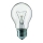 Industriële lamp E27/60W/230V 2200K
