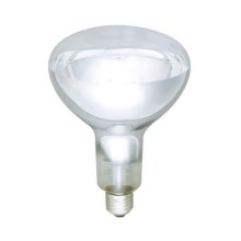 Infraroodlamp E27/250W/230V