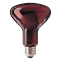 Infraroodlamp HELIOS R95 E27/100W/230V