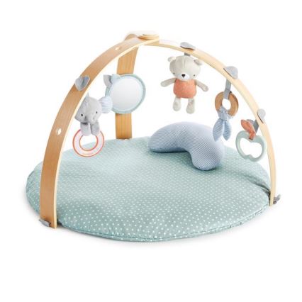 Ingenuity - Baby speeldeken LOAMY mint/grijs