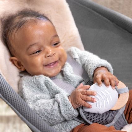 Ingenuity - Baby vibrerend ligbed met melodie EVERY SEASON WESLEY 3xC grijs