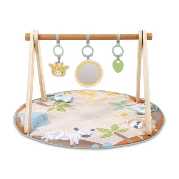 Ingenuity - Babyspeelmat WONDER & WOOD