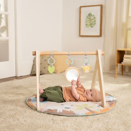 Ingenuity - Babyspeelmat WONDER & WOOD