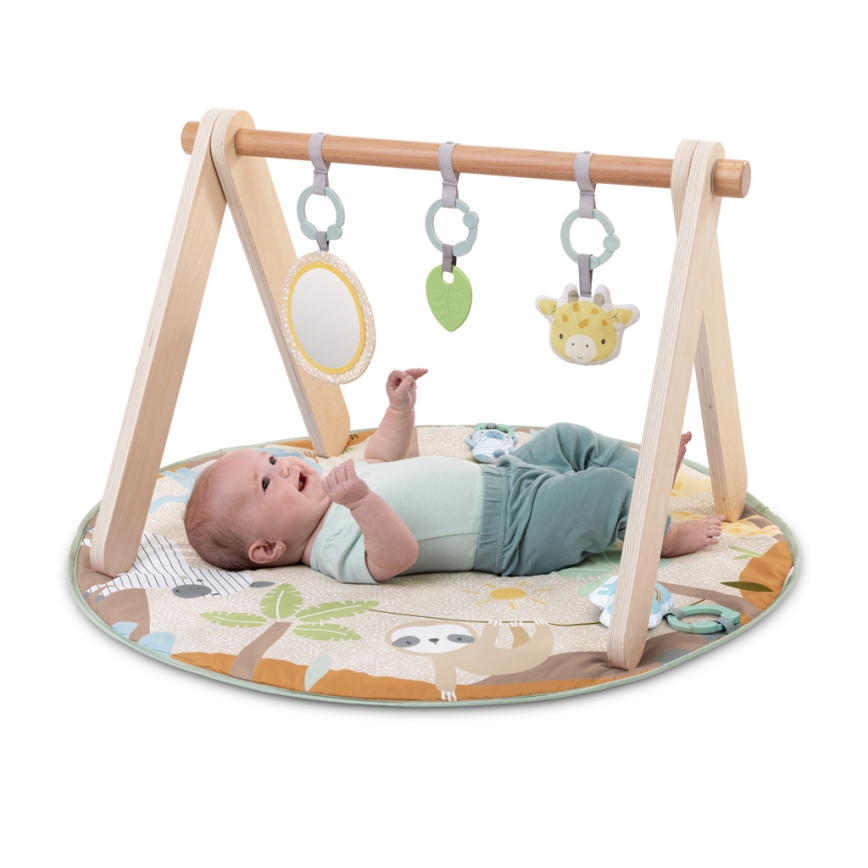 Ingenuity - Babyspeelmat WONDER & WOOD