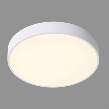 ITALUX - LED Plafondlamp ORBITAL LED/30W/230V 3000K wit