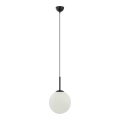 ITALUX - Hanglamp aan een koord DEORE 1xE27/40W/230V diameter 25 cm zwart