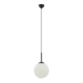 ITALUX - Hanglamp aan een koord DEORE 1xE27/40W/230V diameter 25 cm zwart