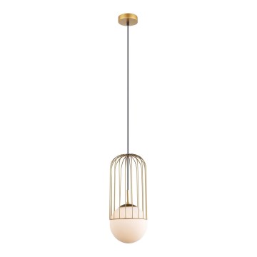 ITALUX - Hanglamp aan een koord MATTY 1xE27/40W/230V diameter 20 cm goud