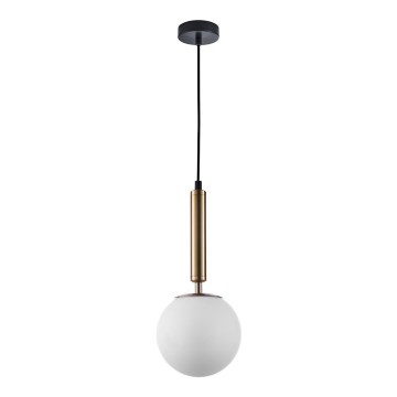 ITALUX - Hanglamp aan een koord RAVENA 1xE27/10W/230V zwart/goud