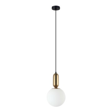 ITALUX - Hanglamp aan kabel ALDEVA 1xE27/40W/230V Ø 20 cm zwart/brons